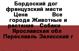 Бордоский дог ( французский масти)  › Цена ­ 50 000 - Все города Животные и растения » Собаки   . Ярославская обл.,Переславль-Залесский г.